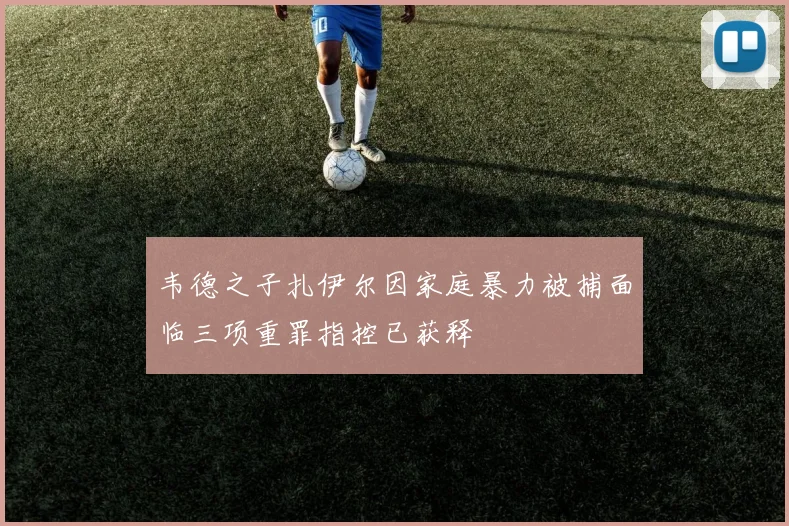 韦德之子扎伊尔因家庭暴力被捕面临三项重罪指控已获释